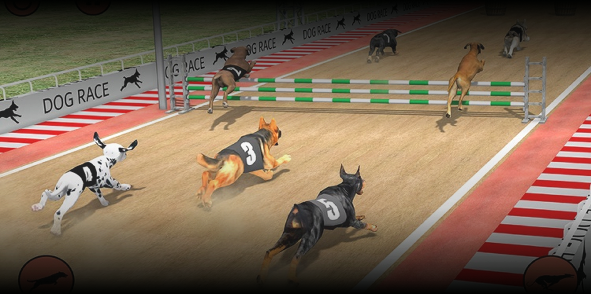 Dog Racing Game